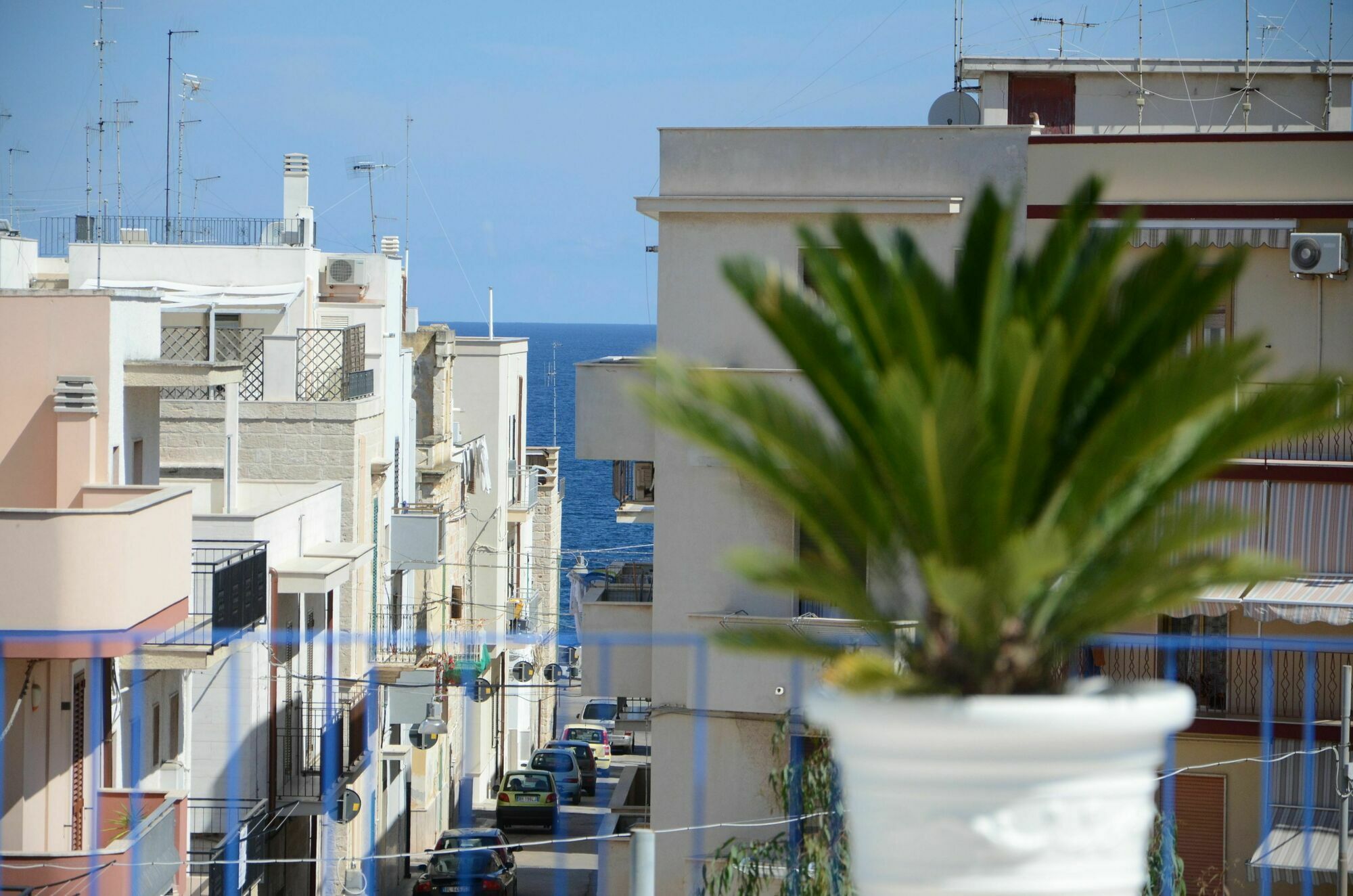 Dimora Petruzzelli Bed & Breakfast Polignano a Mare Eksteriør bilde